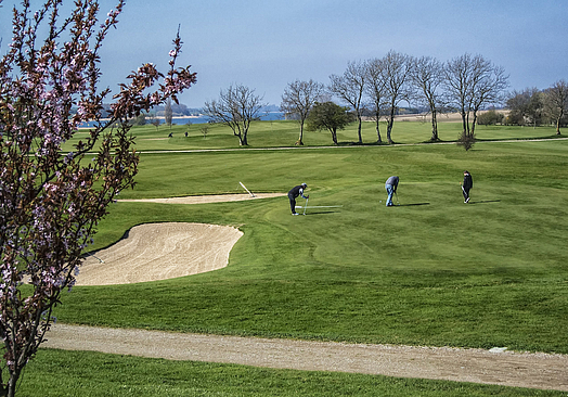 Møn Golf Resort