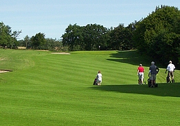 Vejen Golfklub