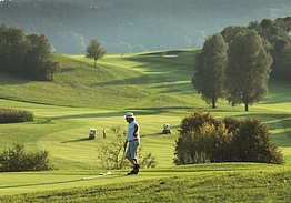Brunnwies GC