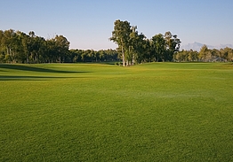 Kaya Palazzo Golf Club | Golf i Belek