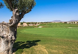 New Sierra Golf | Golf i Murcia