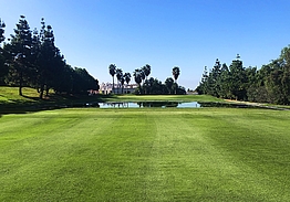 Añoreta Golf Resort