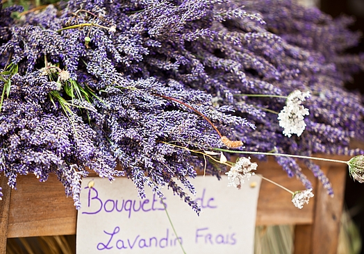 Terre Blanche Hotel Spa & Golf Resort