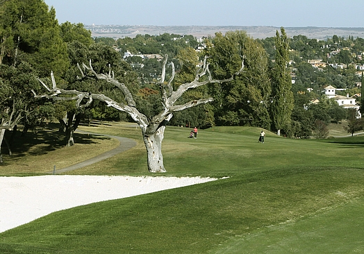 Real Automóvil Club de España RACE | Golf i Madrid