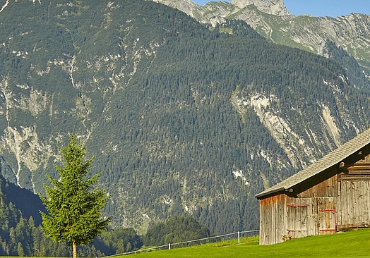 Golfclub Bludenz-Braz | Golf i Vorarlberg