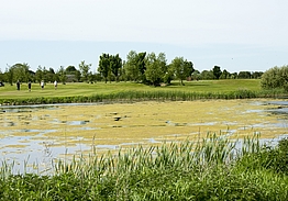 Halsted Kloster Golfklub