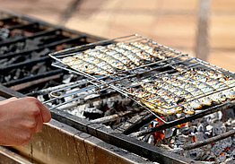 Iberostar Founty Beach