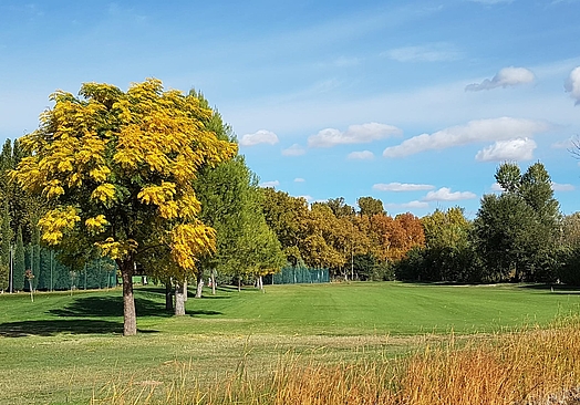 Club de Golf Aranjuez | Golf i Madrid