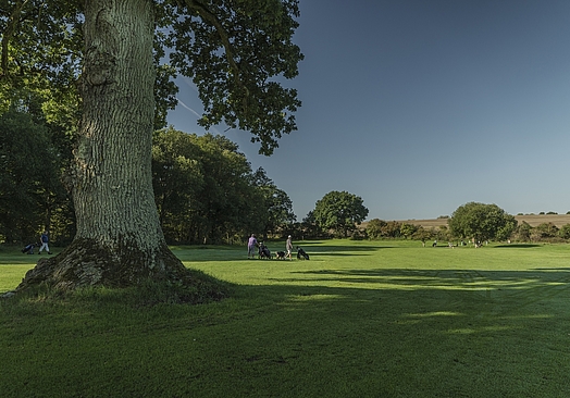 Söderåsens Golfklubb