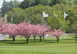 Odense Eventyr Golf | Golf på Fyn