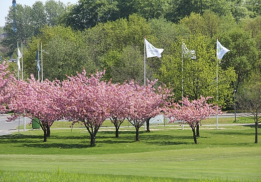 Odense Eventyr Golf | Golf på Fyn