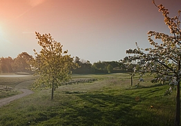 Lübeck-Travemünder Golf-Klub