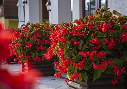 Sporthotel Radstadt | Golf i Radstadt