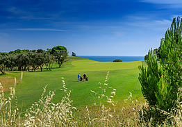 Palmares Resort - Ocean Living & Golf