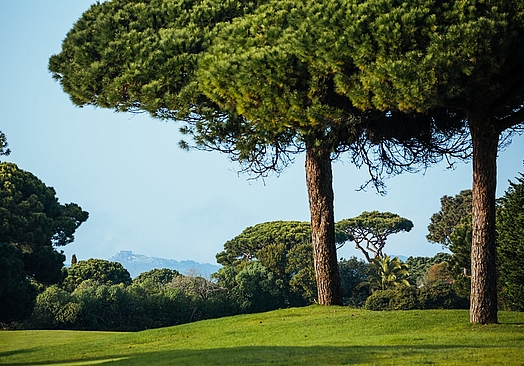 Onyria Quinta da Marinha Resort