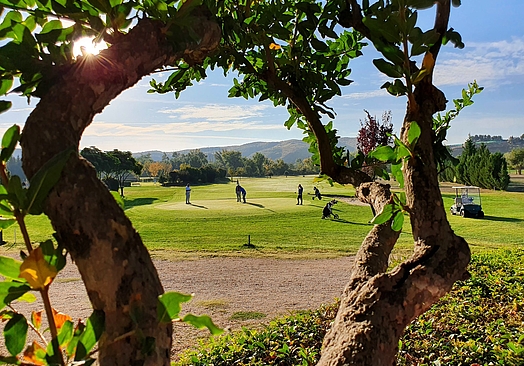 Club de Golf Aranjuez | Golf i Madrid