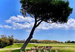 Albarella Golf Links