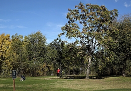 Escuela de Golf de la Federación de Madrid