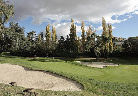 Real Club La Moraleja | Golf i Madrid