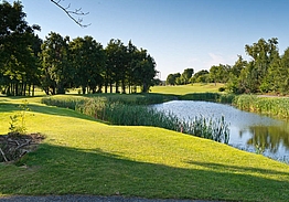 Roganstown Hotel & Country Club | Golf i Dublin
