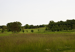 Sæby Golfklub