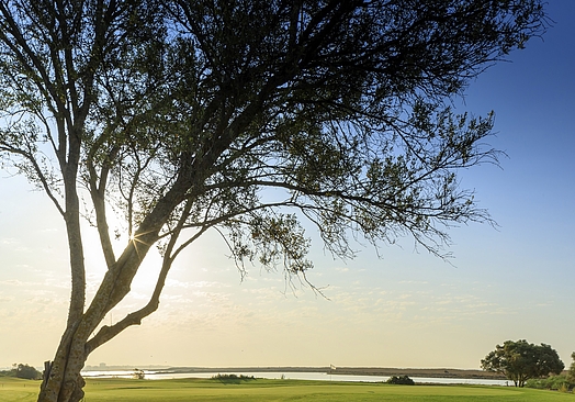 Palmares Resort - Ocean Living & Golf