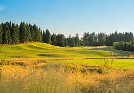 Langesø Golf | Golf på Fyn