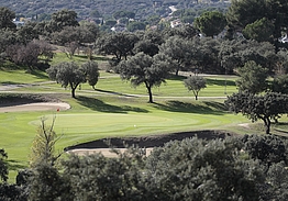 Real Club Golf Las Rozas