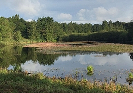 Faaborg Golfklub | Golf på Fyn