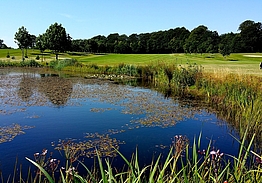 Vestfyns Golfklub