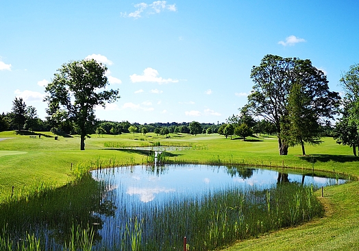 Roganstown Hotel & Country Club | Golf i Dublin