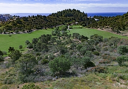 Chaparral Golf Club