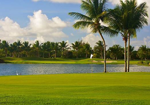 Paradisus Palma Real Golf & Spa Resort