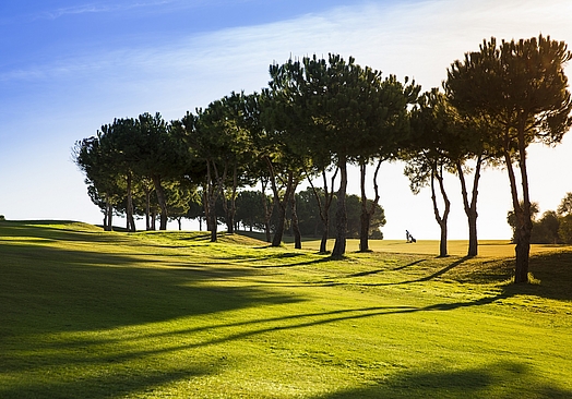 Añoreta Golf Resort