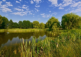 Bad Bevensen Golfclub
