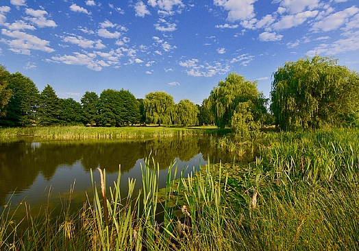 Bad Bevensen Golfclub