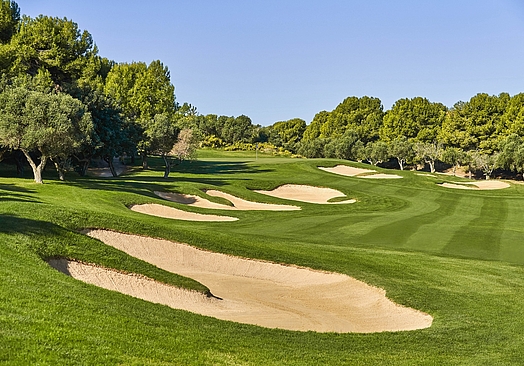 INFINITUM | Ruins Course