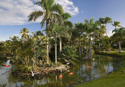 Meliá Punta Cana Beach