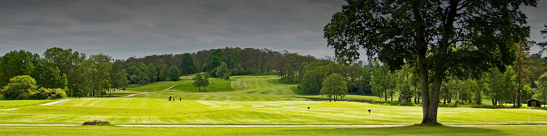 Rede greb Fælles valg Östra Göinge Golfklubb