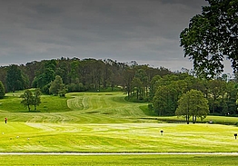 Östra Göinge Golfklubb