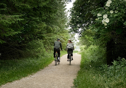 Montra Hotel Hanstholm