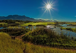 Fancourt South Africa | The Links