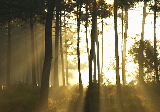 PGA Aroeira Lisboa | PGA Aroeira 1