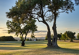 Benamor Golf | Golf på Algarve