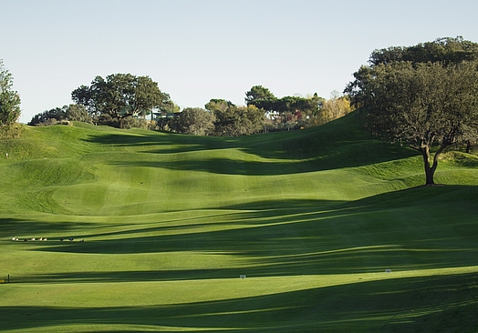 Real Sociedad Hípica Española Club de Campo | Golf i Madrid