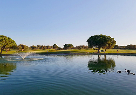 Golf Campano | Golf i Cádiz