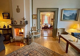 Skjoldenæsholm Slot