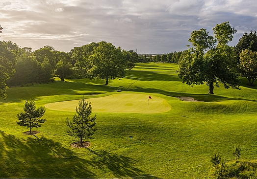 Roganstown Hotel & Country Club | Golf i Dublin