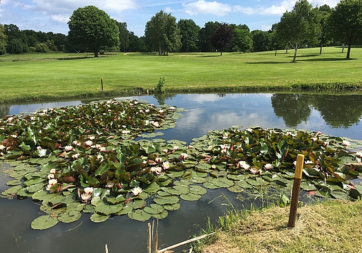 Rungsted Golf Klub