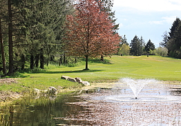 Sønderjyllands Golfklub